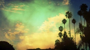 Hollywood Palm Trees And Sky CA