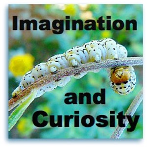 Imagination Recording