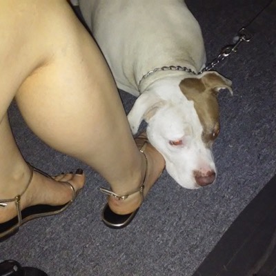 Bree3